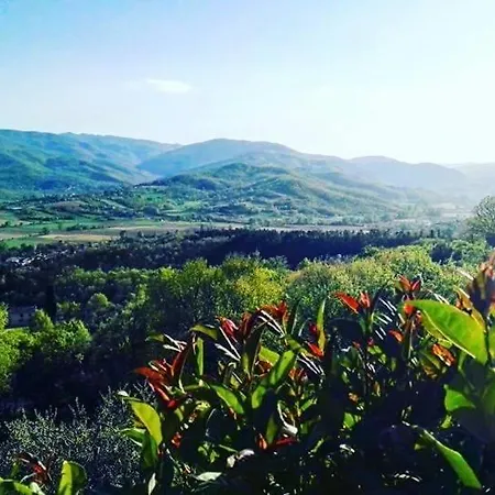 Nyaraló Coccinella *